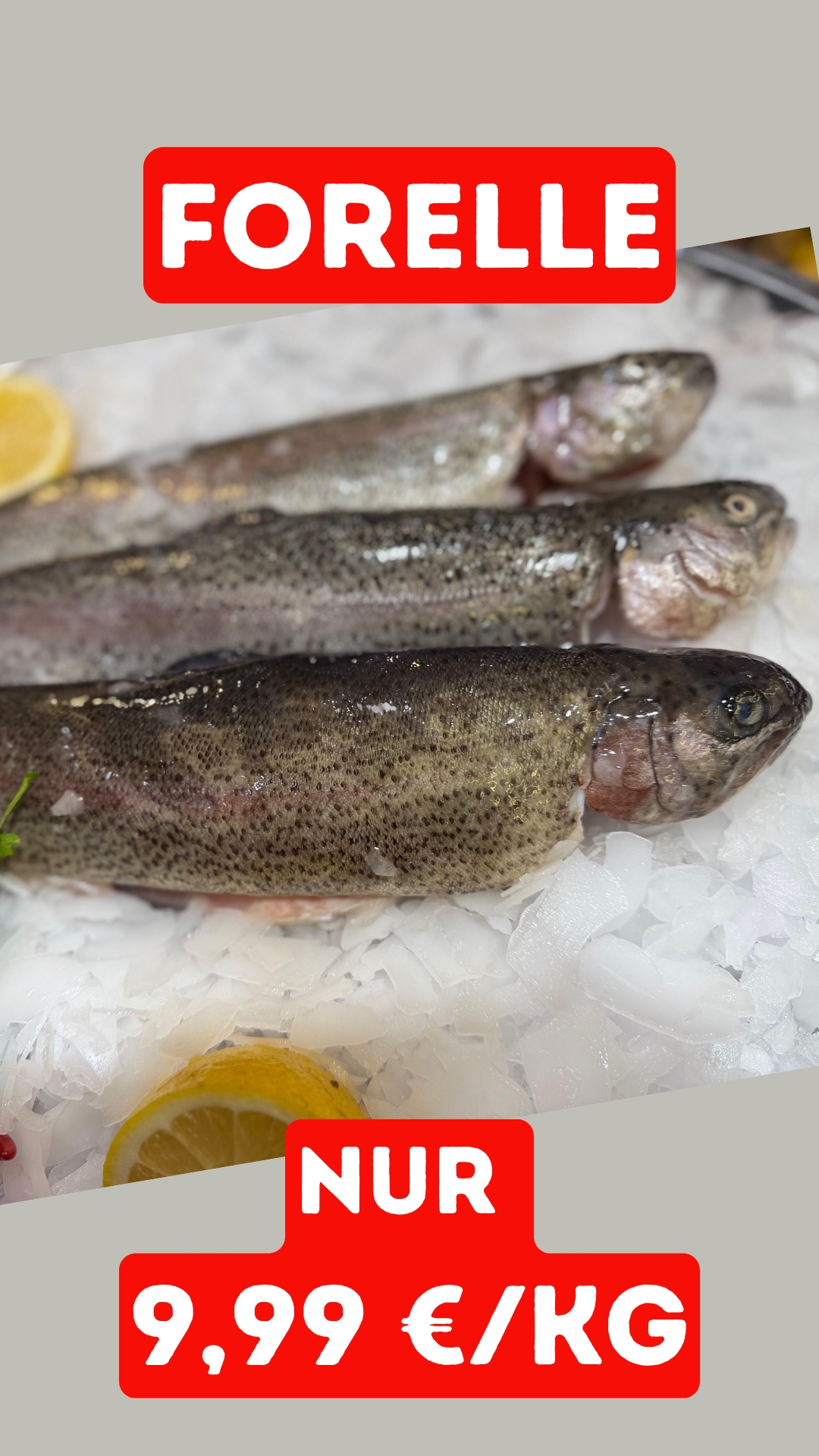 images/Flyer/Wochenangebot%20Fisch%205.jpg#joomlaImage://local-images/Flyer/Wochenangebot Fisch 5.jpg?width=1080&height=1920