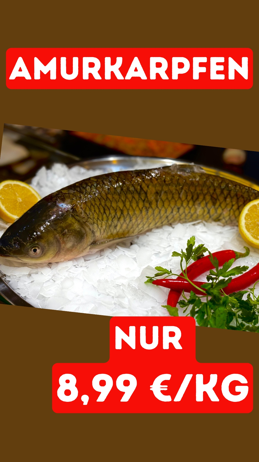 images/Flyer/Wochenangebot%20Fisch%2020.jpg#joomlaImage://local-images/Flyer/Wochenangebot Fisch 20.jpg?width=1080&height=1920